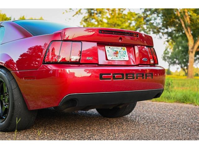 2003 Ford Mustang SVT Cobra (CC-2054299) for sale in Warner Robins, Georgia