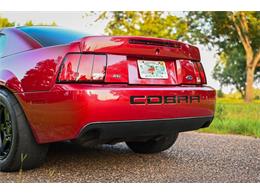 2003 Ford Mustang SVT Cobra (CC-2054299) for sale in Warner Robins, Georgia