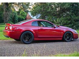 2003 Ford Mustang SVT Cobra (CC-2054299) for sale in Warner Robins, Georgia