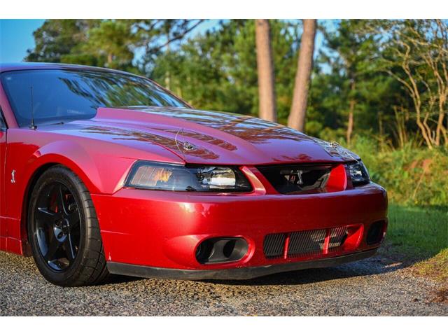 2003 Ford Mustang SVT Cobra (CC-2054299) for sale in Warner Robins, Georgia