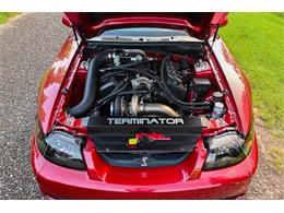 2003 Ford Mustang SVT Cobra (CC-2054299) for sale in Warner Robins, Georgia