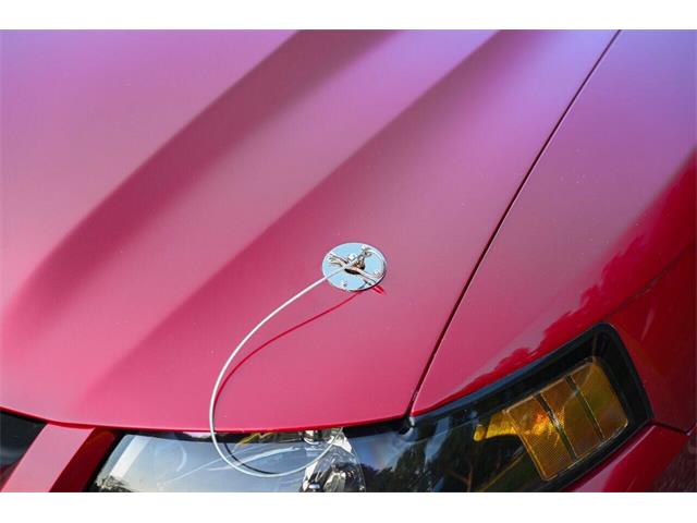 2003 Ford Mustang SVT Cobra (CC-2054299) for sale in Warner Robins, Georgia