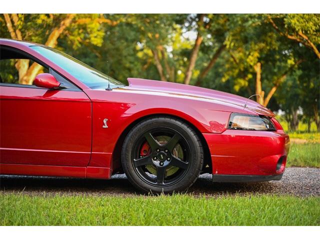 2003 Ford Mustang SVT Cobra (CC-2054299) for sale in Warner Robins, Georgia