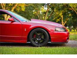 2003 Ford Mustang SVT Cobra (CC-2054299) for sale in Warner Robins, Georgia