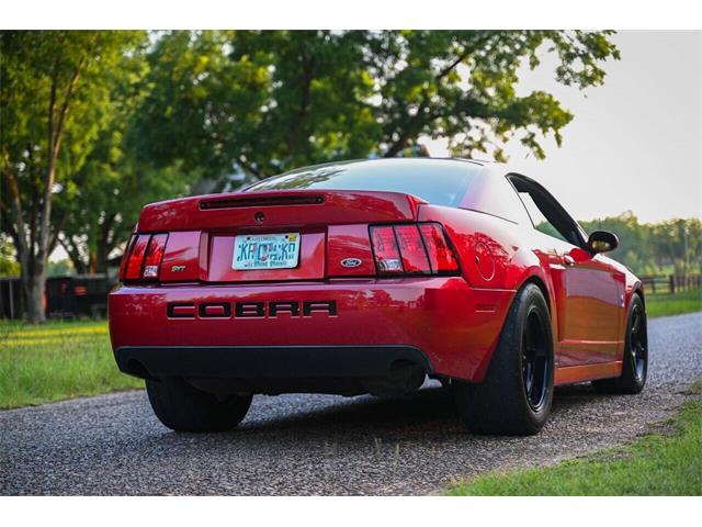 2003 Ford Mustang SVT Cobra (CC-2054299) for sale in Warner Robins, Georgia