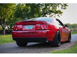 2003 Ford Mustang SVT Cobra (CC-2054299) for sale in Warner Robins, Georgia