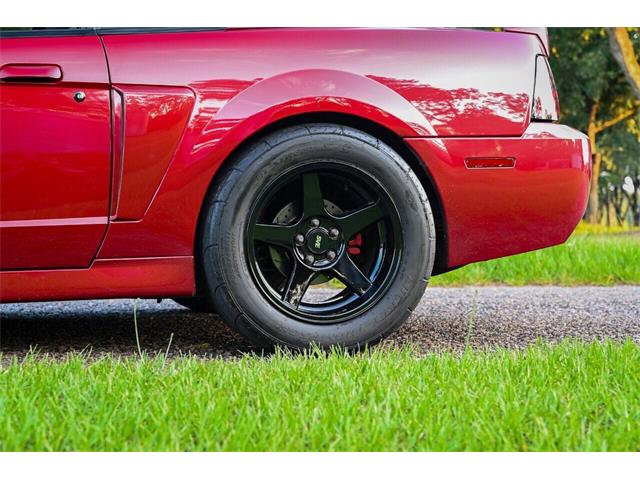 2003 Ford Mustang SVT Cobra (CC-2054299) for sale in Warner Robins, Georgia