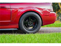 2003 Ford Mustang SVT Cobra (CC-2054299) for sale in Warner Robins, Georgia