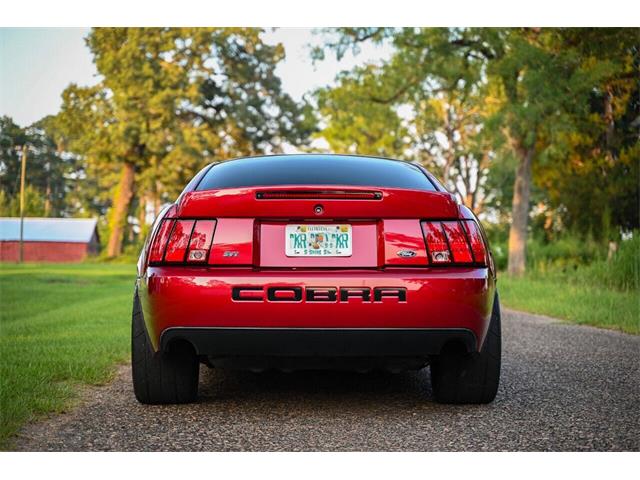 2003 Ford Mustang SVT Cobra (CC-2054299) for sale in Warner Robins, Georgia
