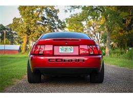 2003 Ford Mustang SVT Cobra (CC-2054299) for sale in Warner Robins, Georgia