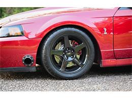 2003 Ford Mustang SVT Cobra (CC-2054299) for sale in Warner Robins, Georgia