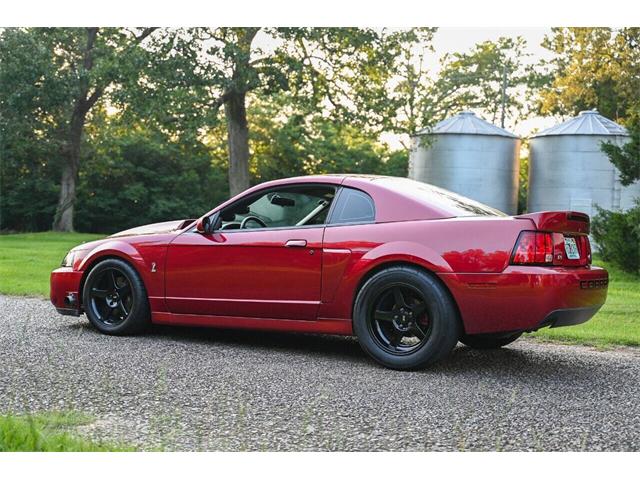 2003 Ford Mustang SVT Cobra (CC-2054299) for sale in Warner Robins, Georgia