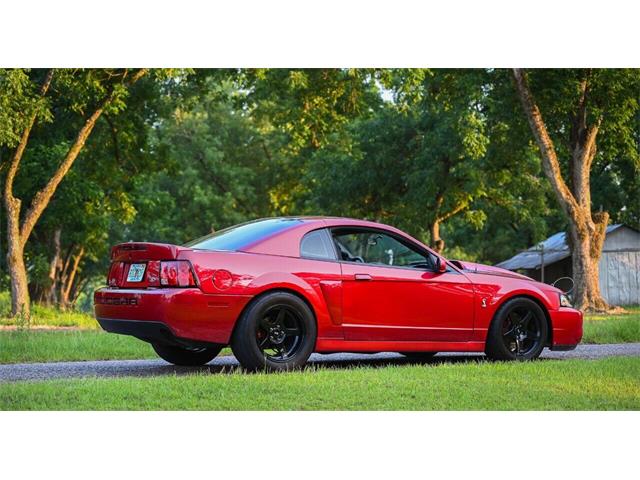 2003 Ford Mustang SVT Cobra (CC-2054299) for sale in Warner Robins, Georgia