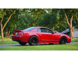 2003 Ford Mustang SVT Cobra (CC-2054299) for sale in Warner Robins, Georgia