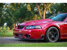 2003 Ford Mustang SVT Cobra (CC-2054299) for sale in Warner Robins, Georgia