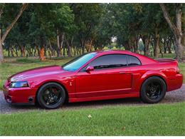 2003 Ford Mustang SVT Cobra (CC-2054299) for sale in Warner Robins, Georgia