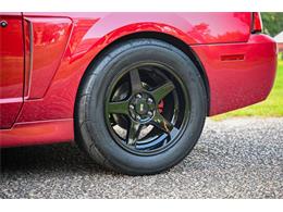2003 Ford Mustang SVT Cobra (CC-2054299) for sale in Warner Robins, Georgia