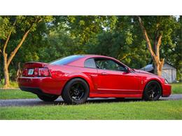 2003 Ford Mustang SVT Cobra (CC-2054299) for sale in Warner Robins, Georgia