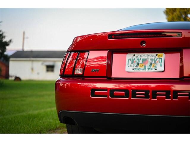 2003 Ford Mustang SVT Cobra (CC-2054299) for sale in Warner Robins, Georgia
