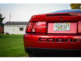 2003 Ford Mustang SVT Cobra (CC-2054299) for sale in Warner Robins, Georgia
