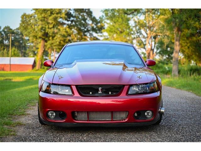 2003 Ford Mustang SVT Cobra (CC-2054299) for sale in Warner Robins, Georgia