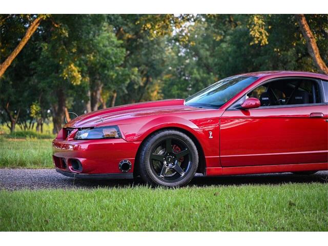 2003 Ford Mustang SVT Cobra (CC-2054299) for sale in Warner Robins, Georgia