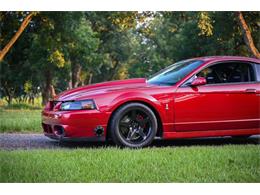 2003 Ford Mustang SVT Cobra (CC-2054299) for sale in Warner Robins, Georgia