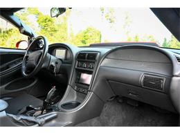 2003 Ford Mustang SVT Cobra (CC-2054299) for sale in Warner Robins, Georgia