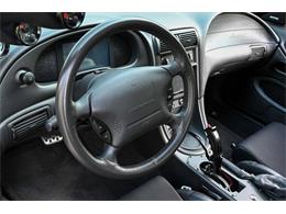 2003 Ford Mustang SVT Cobra (CC-2054299) for sale in Warner Robins, Georgia