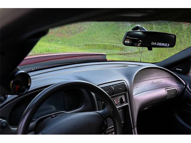 2003 Ford Mustang SVT Cobra (CC-2054299) for sale in Warner Robins, Georgia