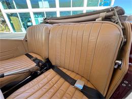 1954 MG TF (CC-2050430) for sale in Bradenton, Florida