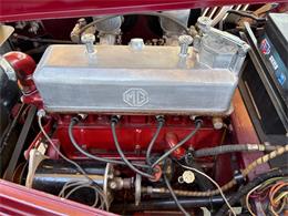 1954 MG TF (CC-2050430) for sale in Bradenton, Florida