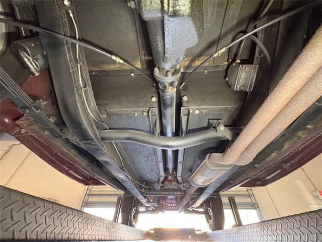 1954 MG TF (CC-2050430) for sale in Bradenton, Florida