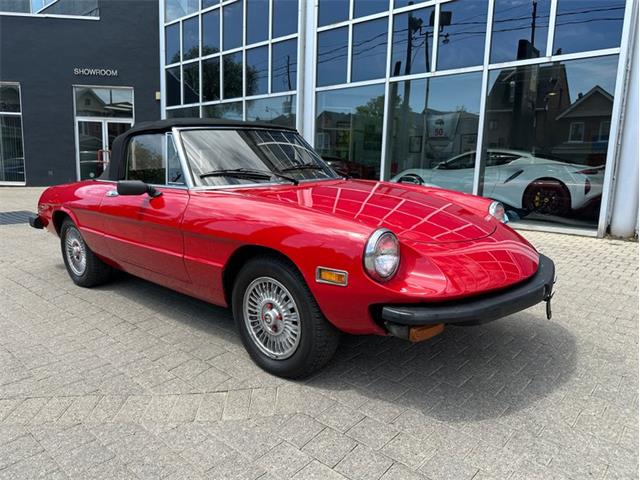 1979 Alfa Romeo Spider (CC-2054799) for sale in Dripping Springs, Texas