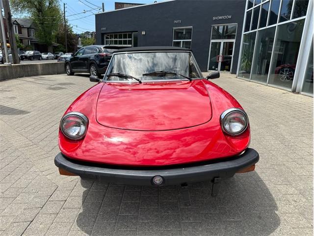 1979 Alfa Romeo Spider (CC-2054799) for sale in Dripping Springs, Texas