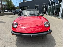 1979 Alfa Romeo Spider (CC-2054799) for sale in Dripping Springs, Texas