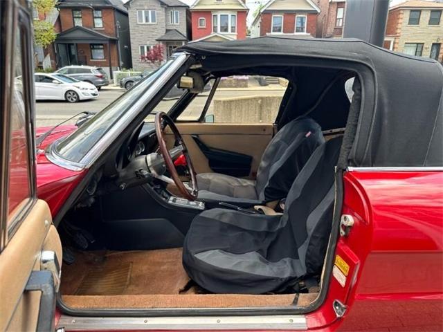 1979 Alfa Romeo Spider (CC-2054799) for sale in Dripping Springs, Texas