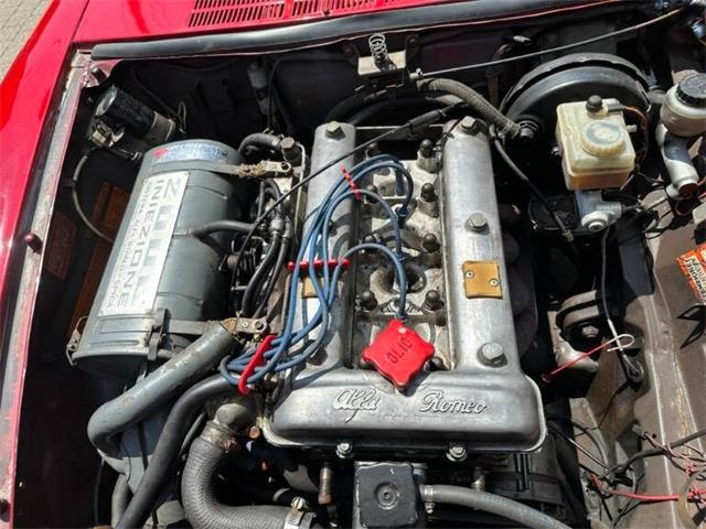 1979 Alfa Romeo Spider (CC-2054799) for sale in Dripping Springs, Texas