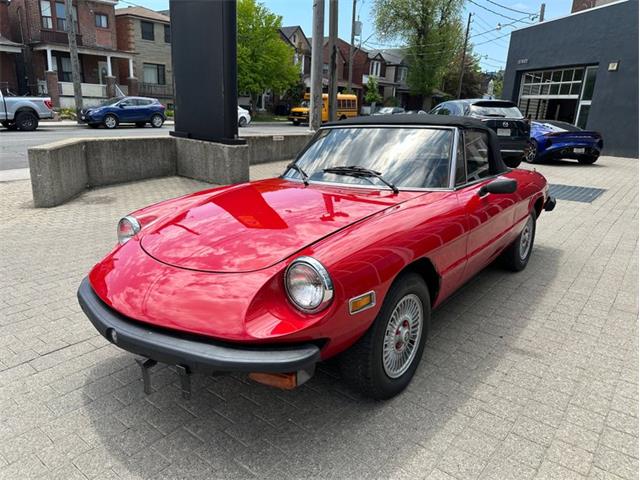 1979 Alfa Romeo Spider (CC-2054799) for sale in Dripping Springs, Texas