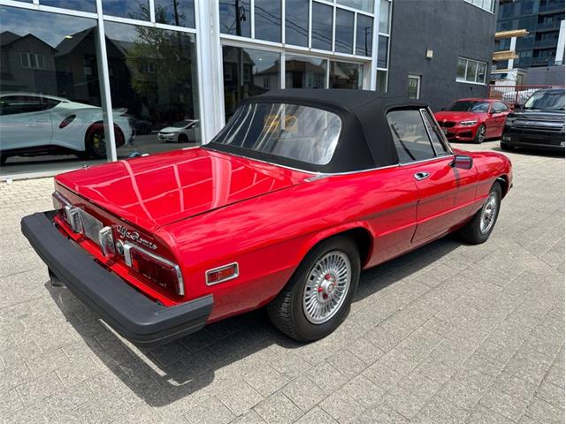 1979 Alfa Romeo Spider (CC-2054799) for sale in Dripping Springs, Texas
