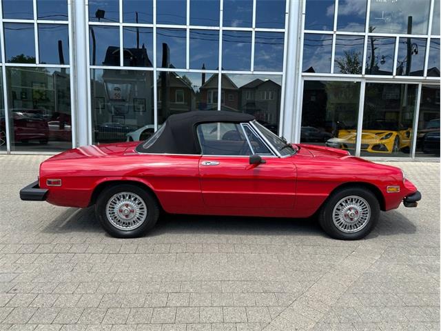 1979 Alfa Romeo Spider (CC-2054799) for sale in Dripping Springs, Texas