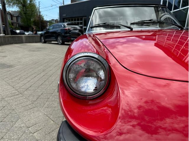 1979 Alfa Romeo Spider (CC-2054799) for sale in Dripping Springs, Texas