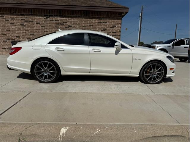 2014 Mercedes-Benz CLS-Class (CC-2054811) for sale in Dripping Springs, Texas