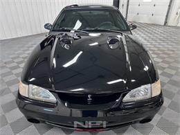 1996 Ford Mustang (CC-2054967) for sale in North East, Pennsylvania