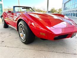 1974 Chevrolet Corvette (CC-2055261) for sale in Bradenton, Florida