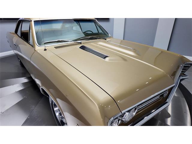 1967 Chevrolet Chevelle (CC-2055378) for sale in Clearwater, Florida