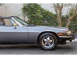 1987 Jaguar XJS (CC-2055561) for sale in Beverly Hills, California