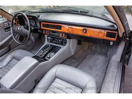 1987 Jaguar XJS (CC-2055561) for sale in Beverly Hills, California