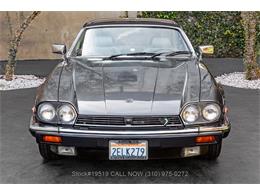 1987 Jaguar XJS (CC-2055561) for sale in Beverly Hills, California