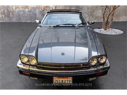 1987 Jaguar XJS (CC-2055561) for sale in Beverly Hills, California